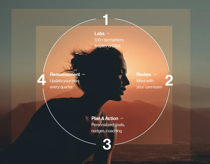 Compass Model visual showing the wellness loop cycle